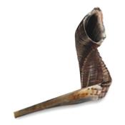 Choffar « Taille 4 » 35-40 cm