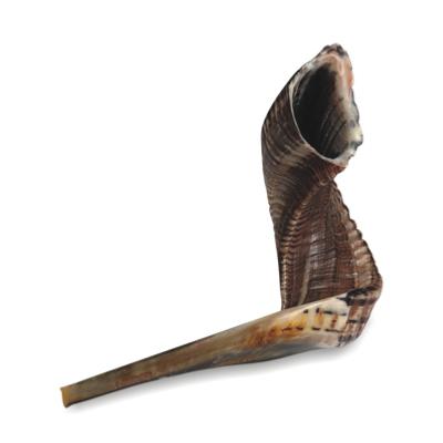 Choffar « Taille 4 » 35-40 cm